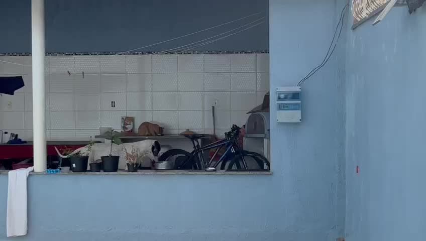Amém